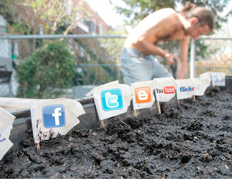 Social Media Garden